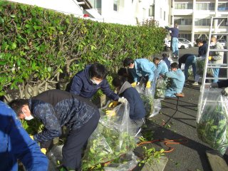 大垣警察署の剪定に行ってきました | その他